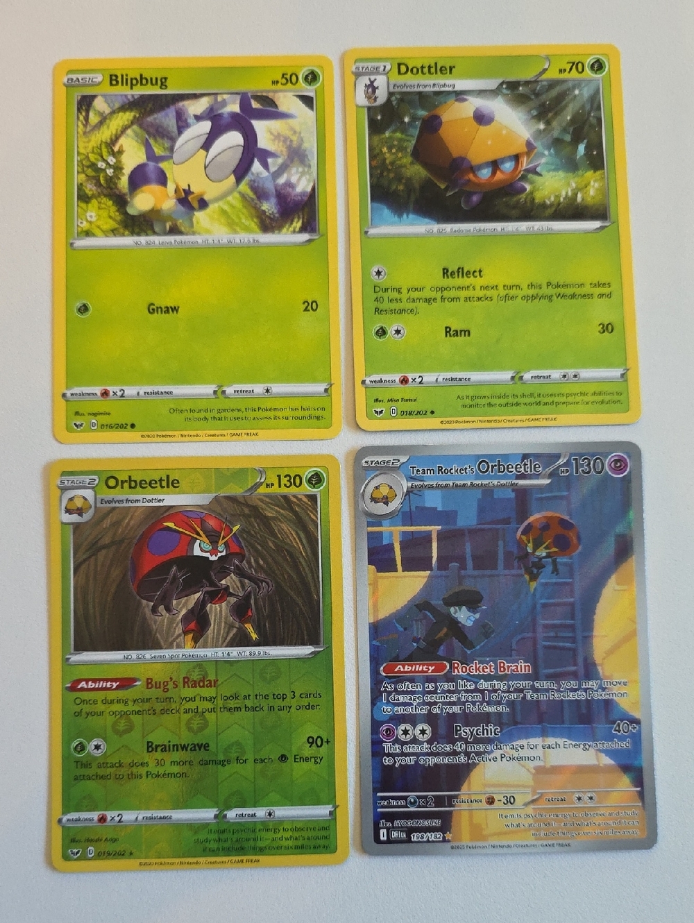 Pokemon Blipbug, Dottler & Orbeetle Cards